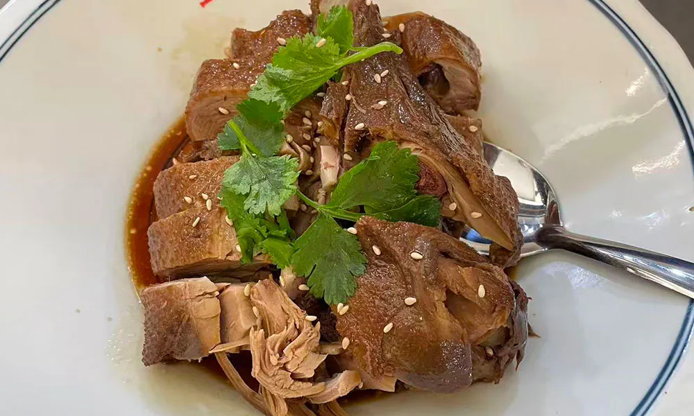 Tender braised duck with sauce, cilantro & sesame at Licious Noodles & Bao, a Chinese Dumpling Restaurant in Rockledge